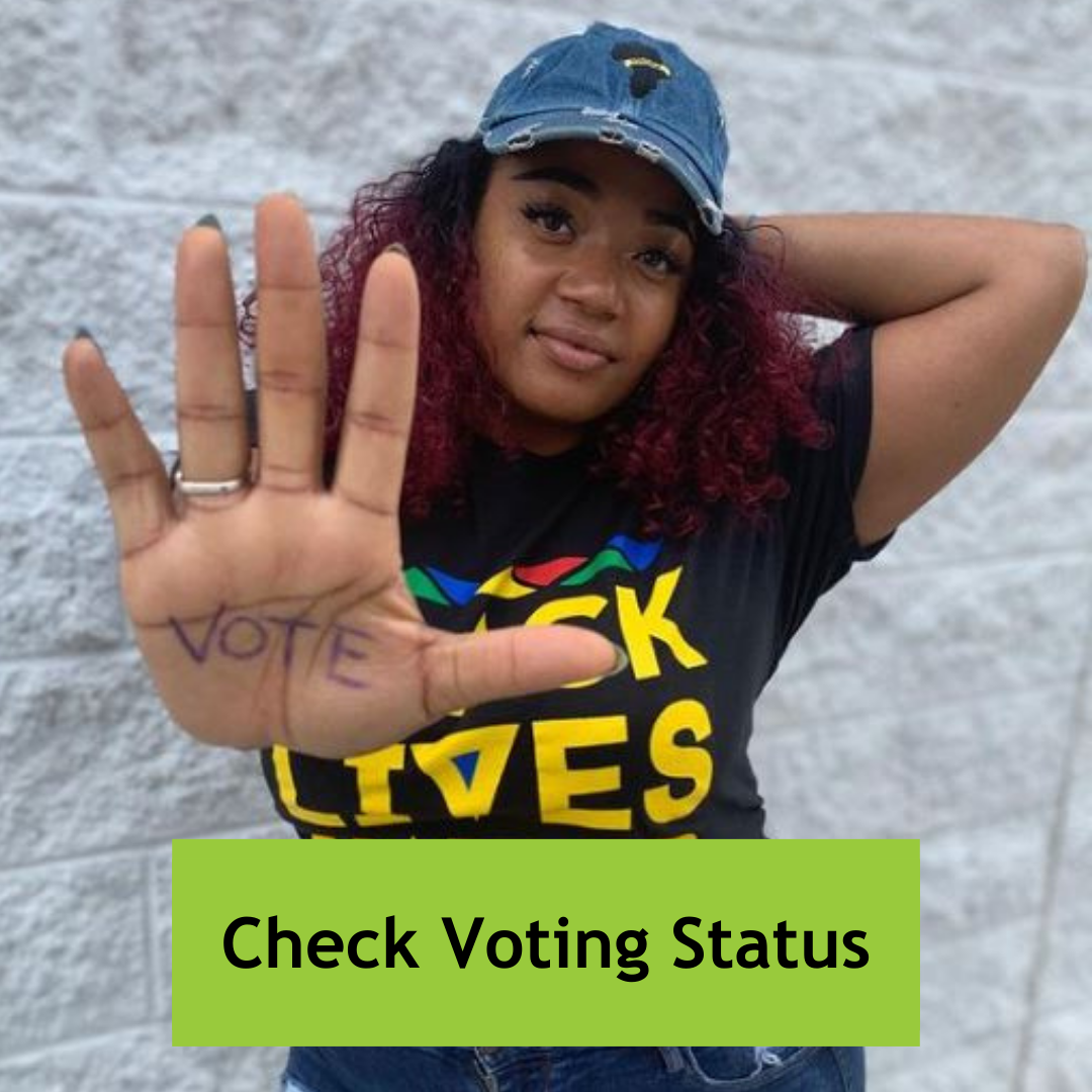 Check voting status