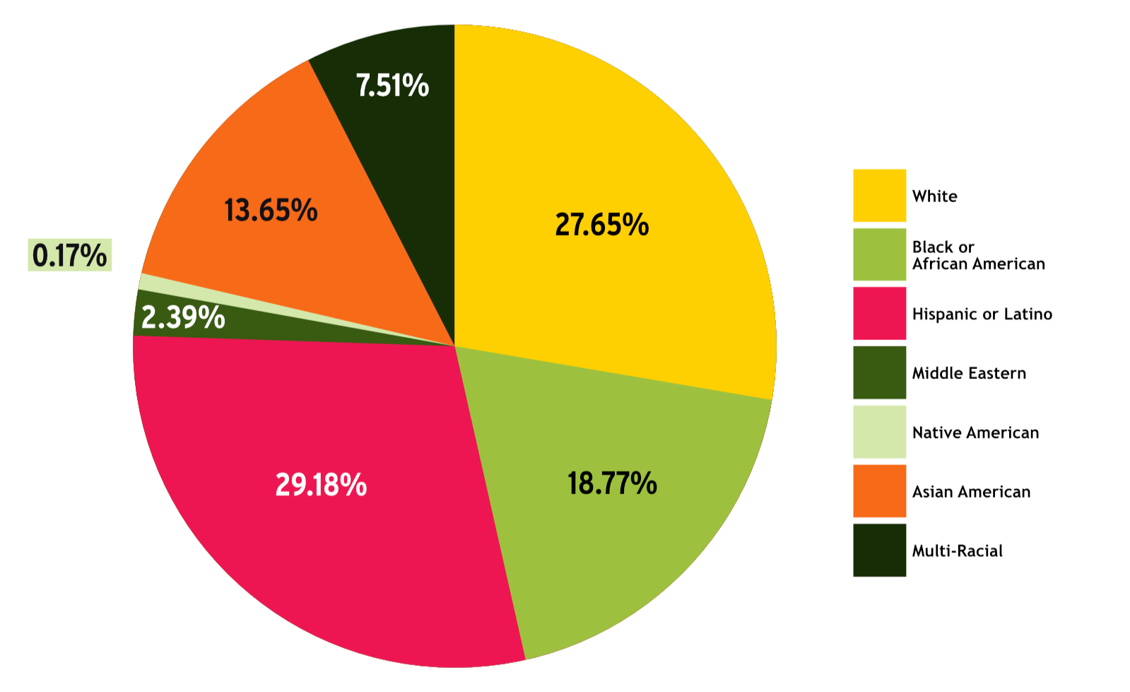 Diversity Chart